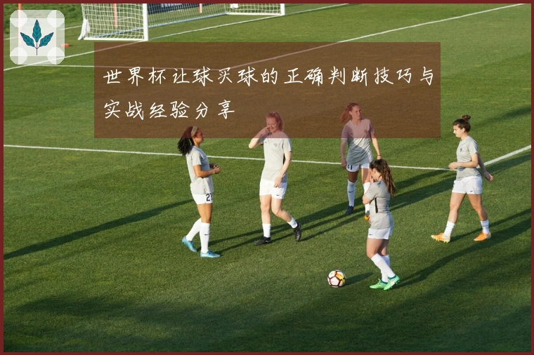 世界杯让球买球的正确判断技巧与实战经验分享