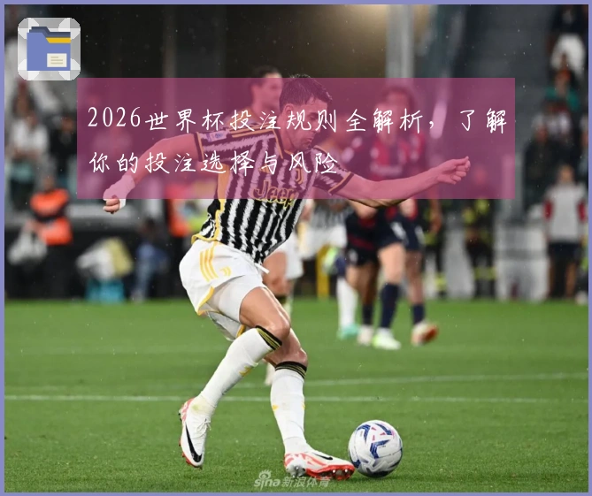 2026世界杯投注规则全解析，了解你的投注选择与风险