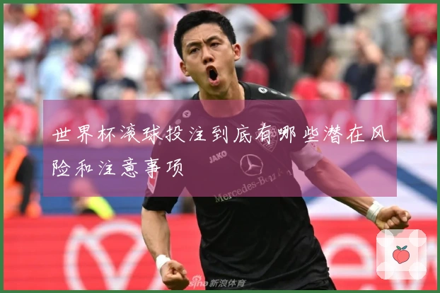 世界杯滚球投注到底有哪些潜在风险和注意事项