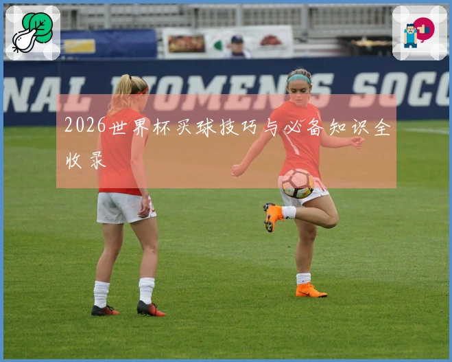 2026世界杯买球技巧与必备知识全收录