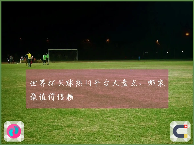 世界杯买球热门平台大盘点，哪家最值得信赖