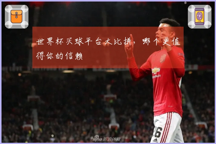 世界杯买球平台大比拼，哪个更值得你的信赖