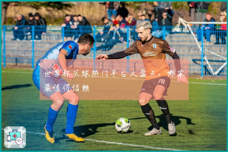 世界杯买球热门平台大盘点，哪家最值得信赖