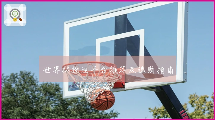 世界杯投注平台推荐及选购指南