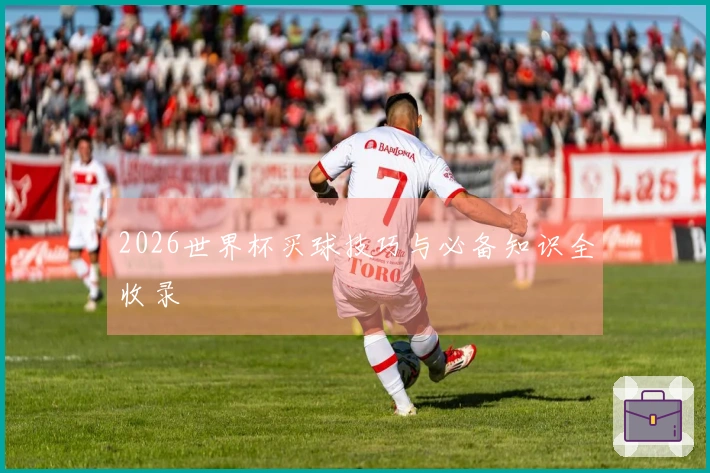 2026世界杯买球技巧与必备知识全收录