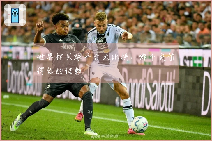 世界杯买球平台大比拼，哪个更值得你的信赖